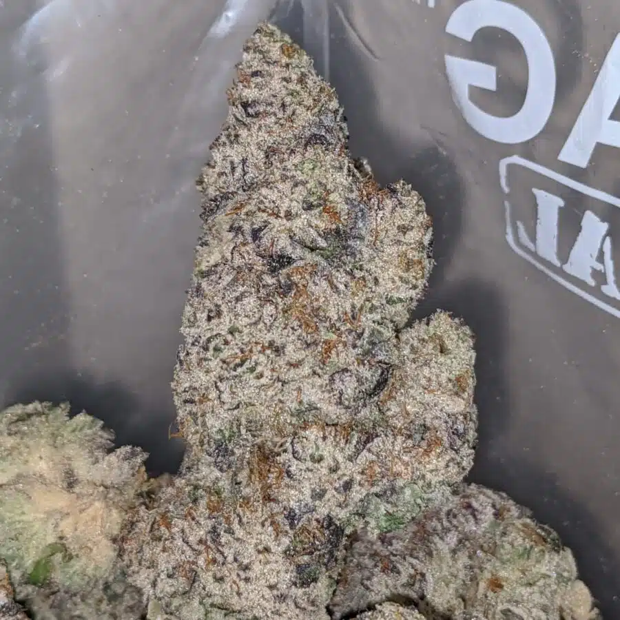 Alternative view of Pineapple Gelato AAAA+