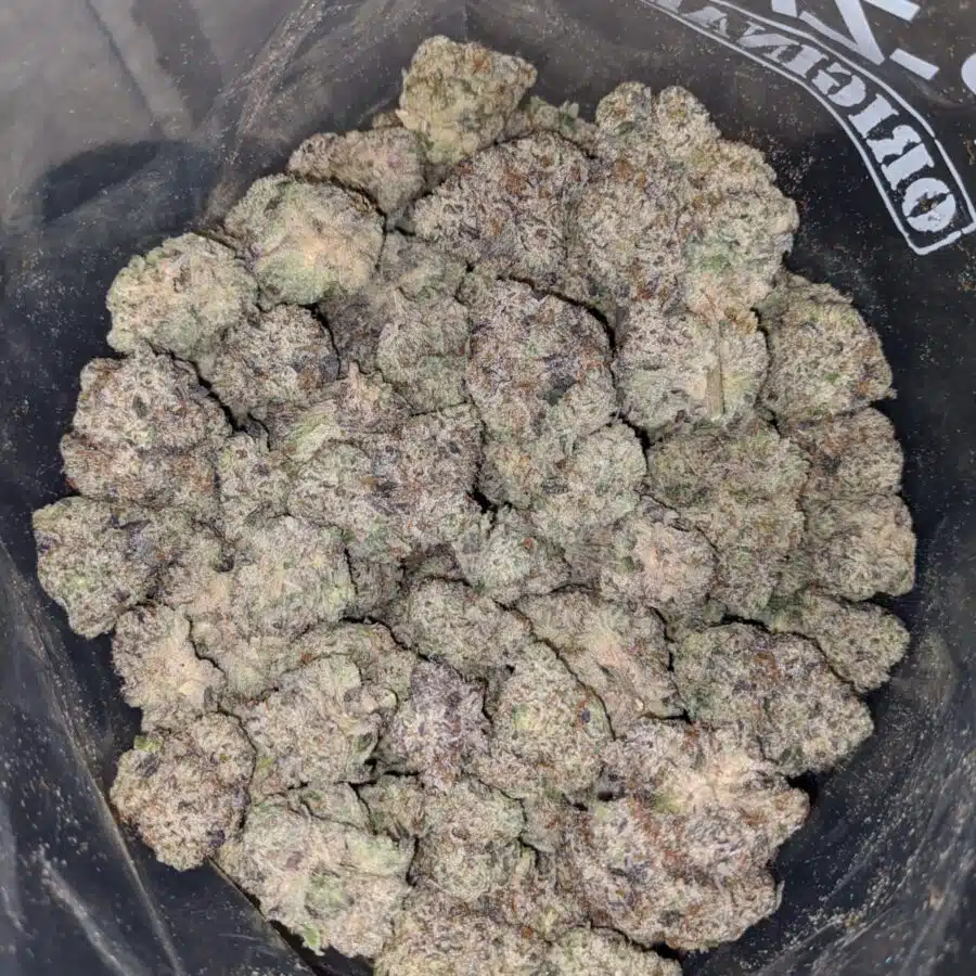 Pineapple Gelato AAAA+