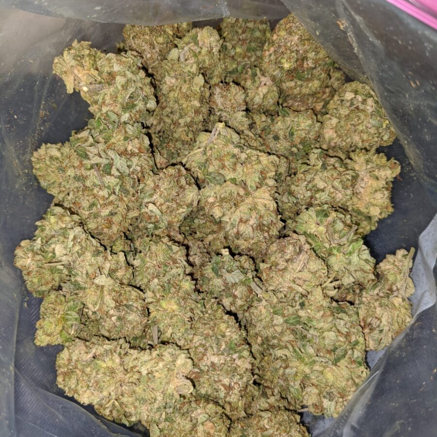 WhatsApp Image 2022 12 20 at 9.55.20 AM 1 I Sugar Shack - *Deal Of The Day*