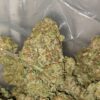 Sugar Shack - *Deal Of The Day*