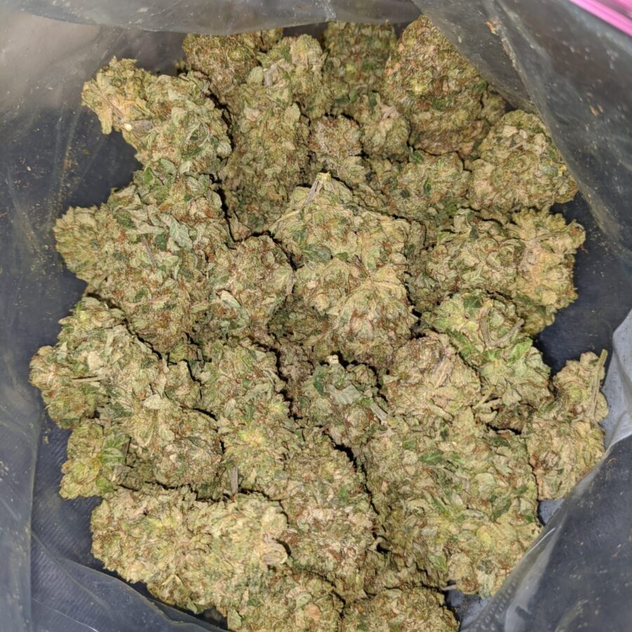 WhatsApp Image 2022 12 20 at 9.55.21 AM I Sugar Shack - *Deal Of The Day*