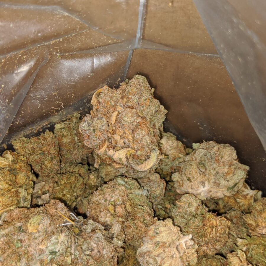 AA Cheap Kush Bulk Special - Image 4