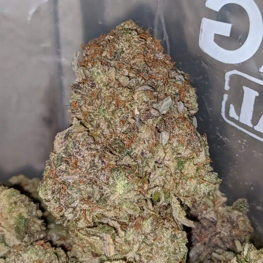 dark star pink 2 I Dark Star Pink