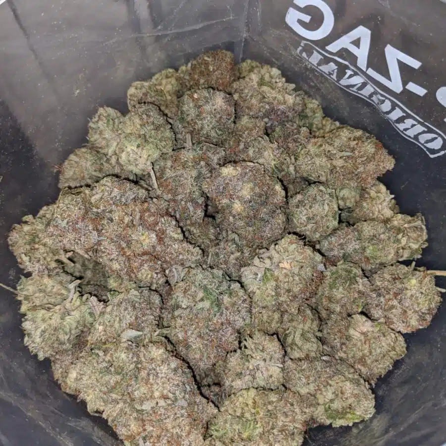 dark star pink 3 I Dark Star Pink