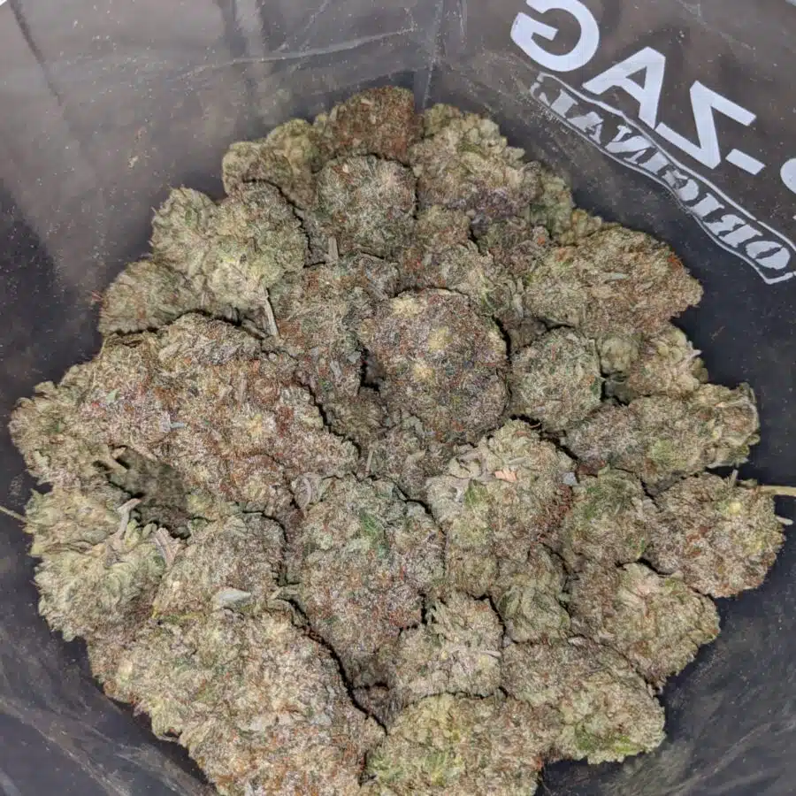dark star pink 4 I Dark Star Pink
