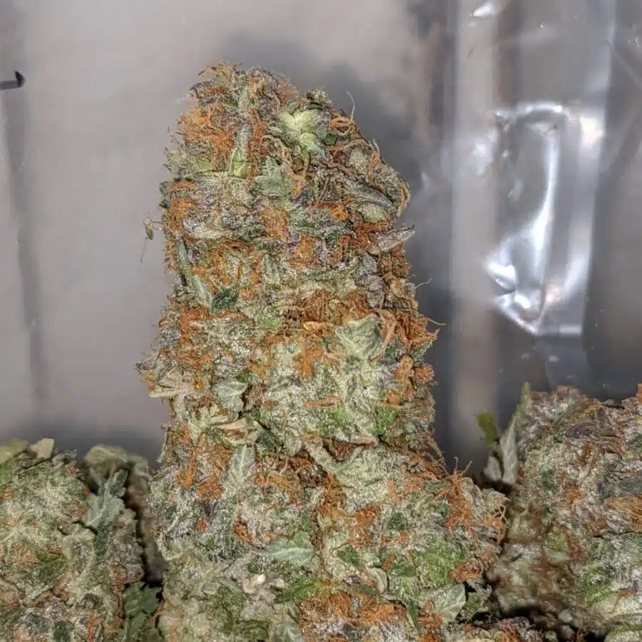 pink gas 1 I Pink Gas AA