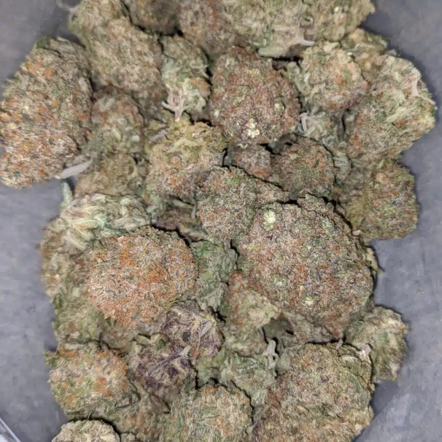 purple crack 1 I Purple Crack