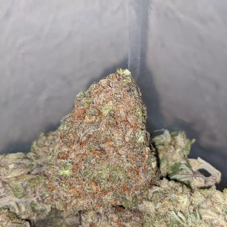 purple crack 3 I Purple Crack