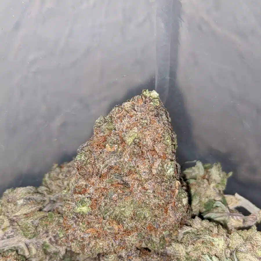 purple crack 4 I Purple Crack