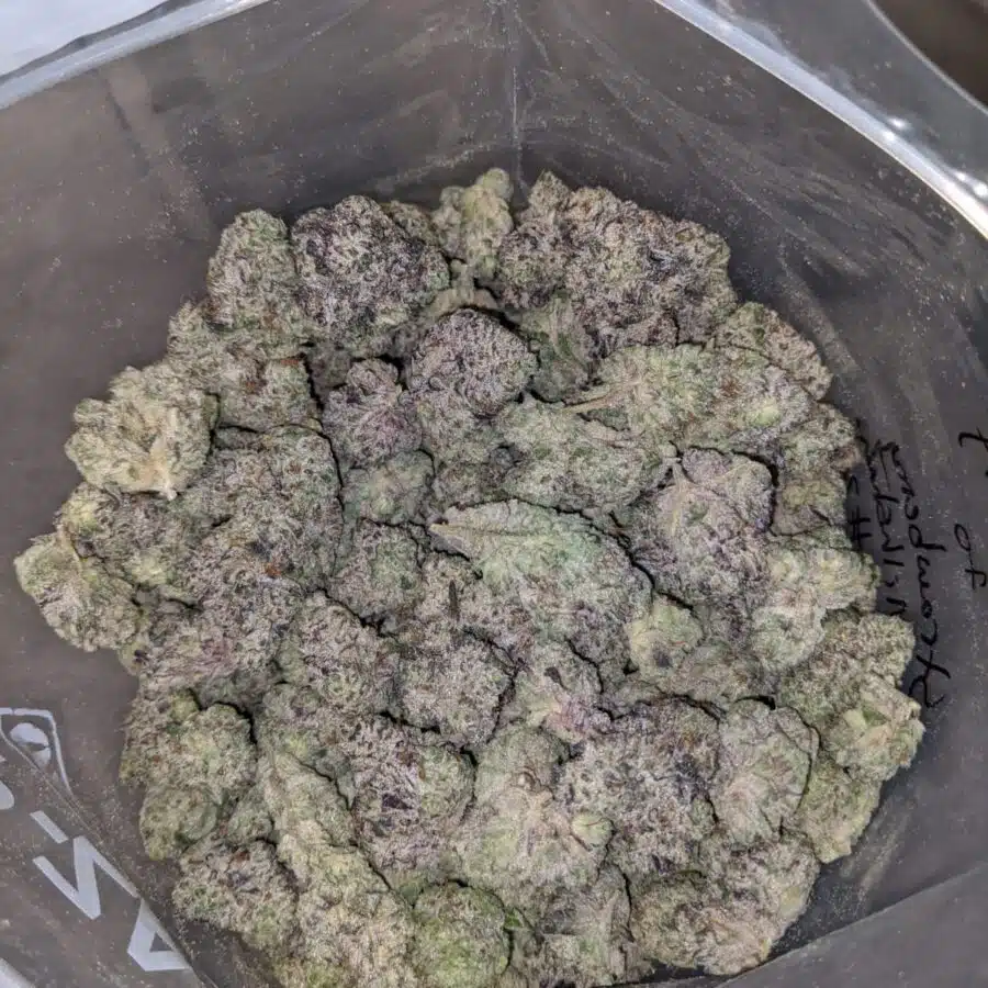 Strawberry Milkshake #27
