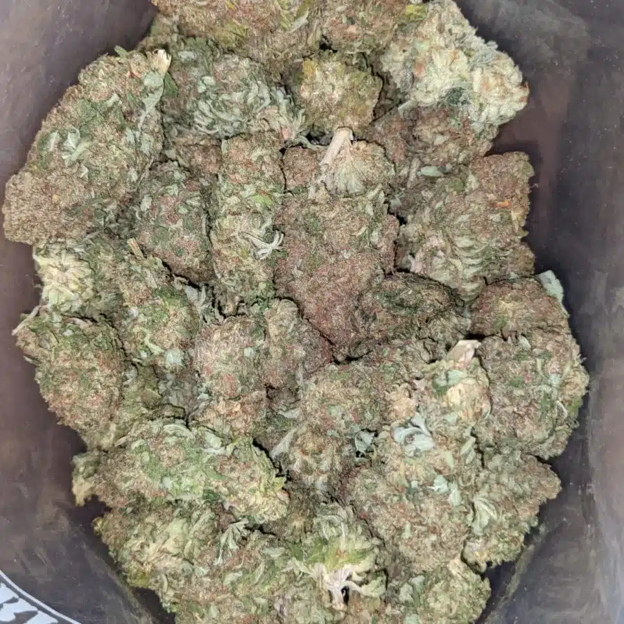 46 Oz Blue Dream 4 I $46 Oz Blue Dream