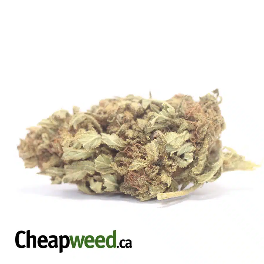 Sour Grape