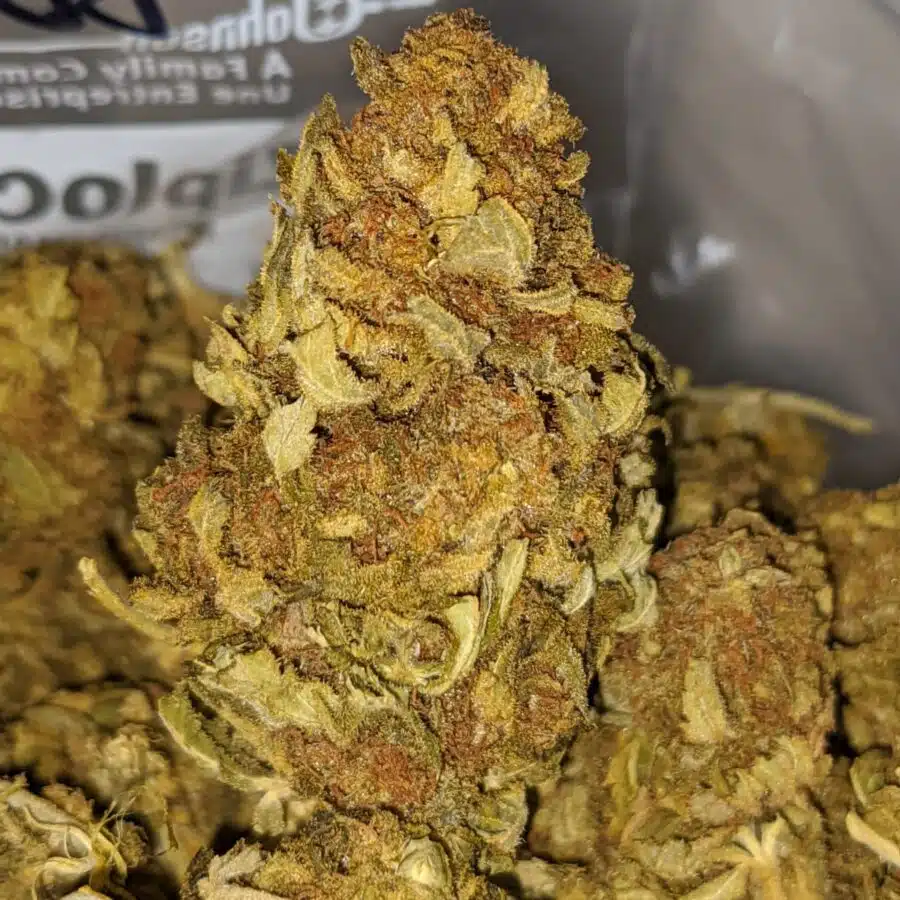 AA Sour Grape 2 I Sour Grape