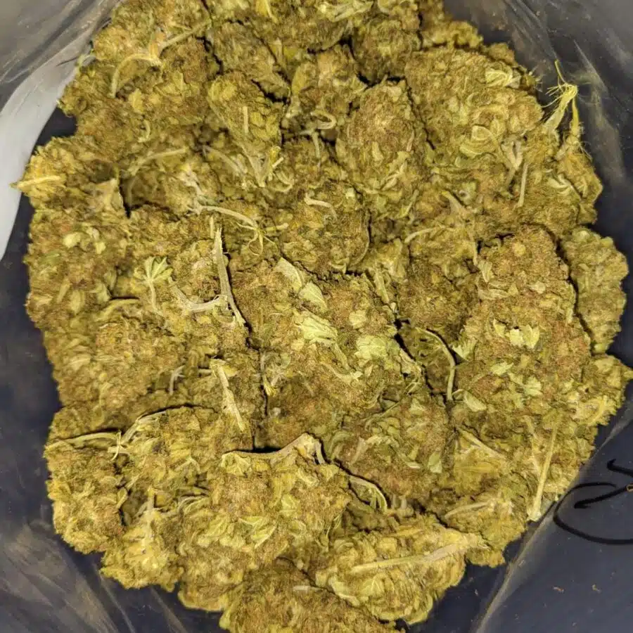 AA Sour Grape 3 I Sour Grape