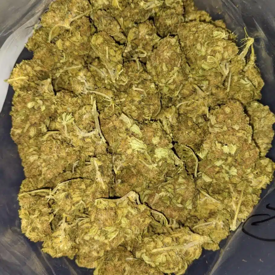 AA Sour Grape 4 I Sour Grape
