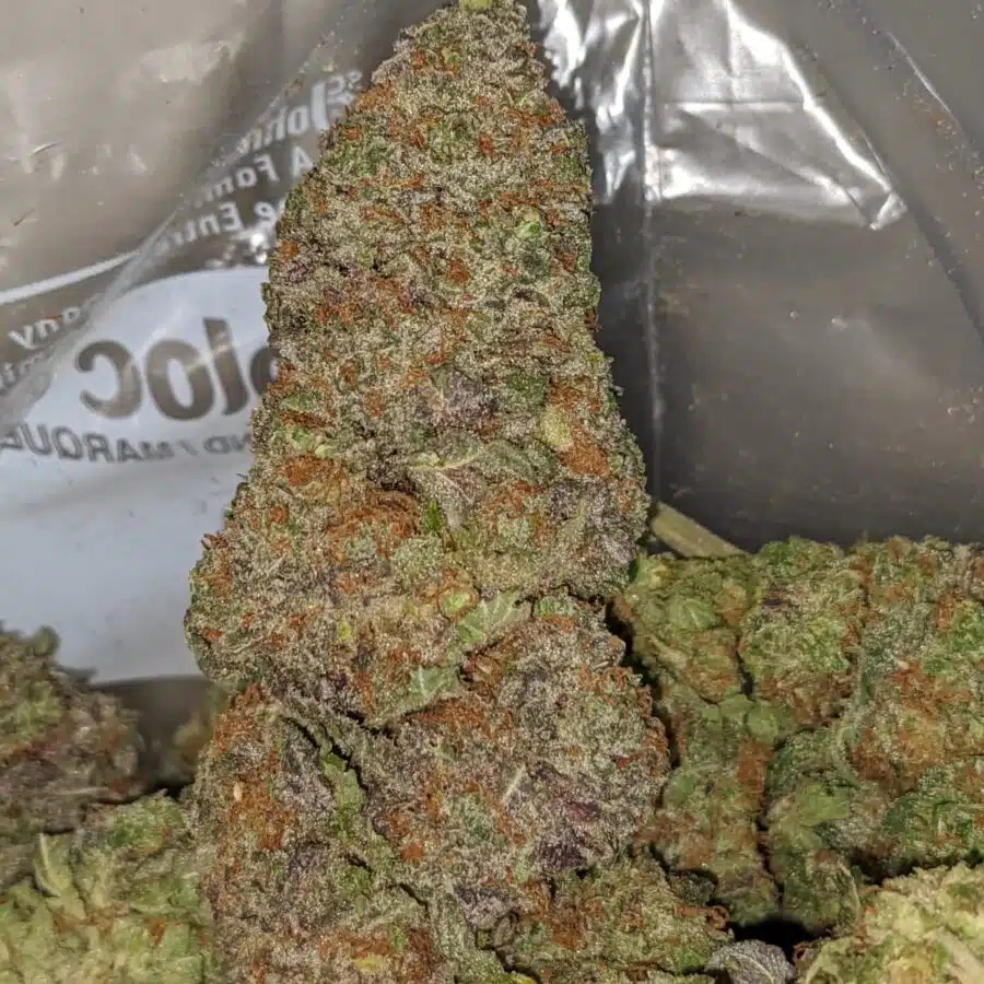 BLACKBERRY COUGH 1 I Blackberry Cough