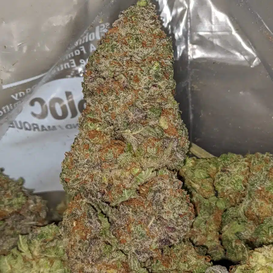 BLACKBERRY COUGH 2 I Blackberry Cough