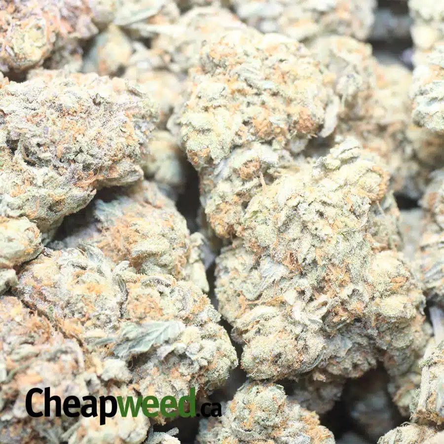 CALI BUBBA 1 1 I Cali Bubba #2