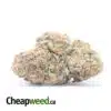 Cali Bubba #2