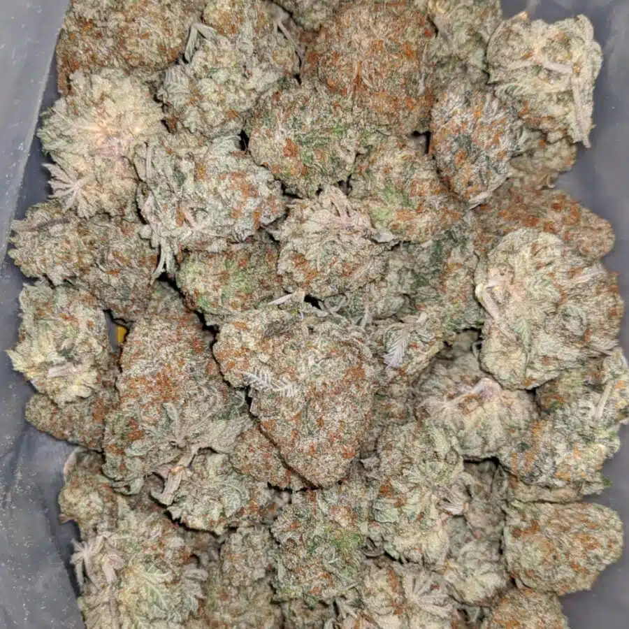 COOKIE BREATH 1 I Cookie Breath