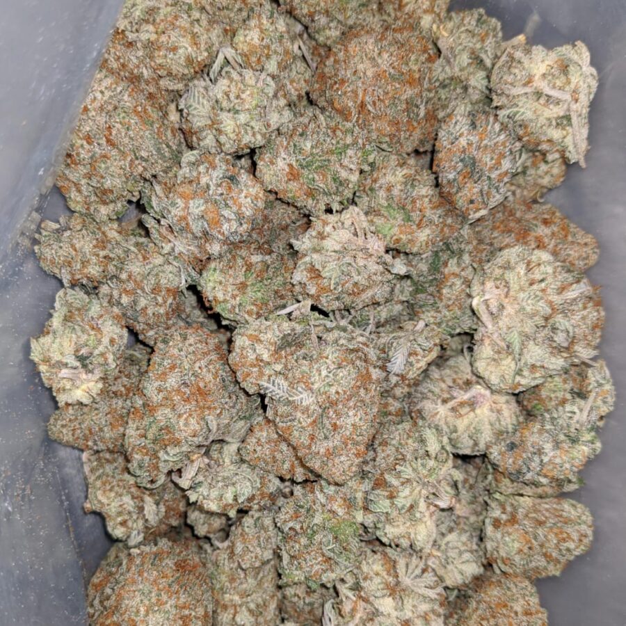 COOKIE BREATH 2 I Cookie Breath