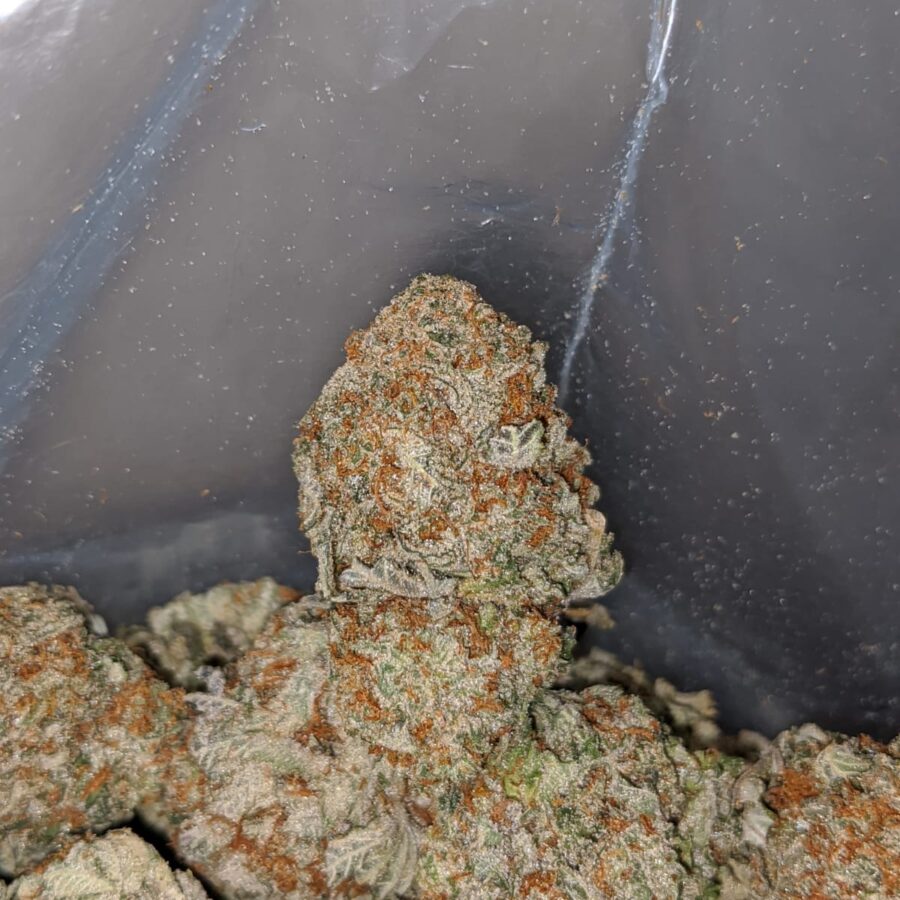 COOKIE BREATH 4 I Cookie Breath