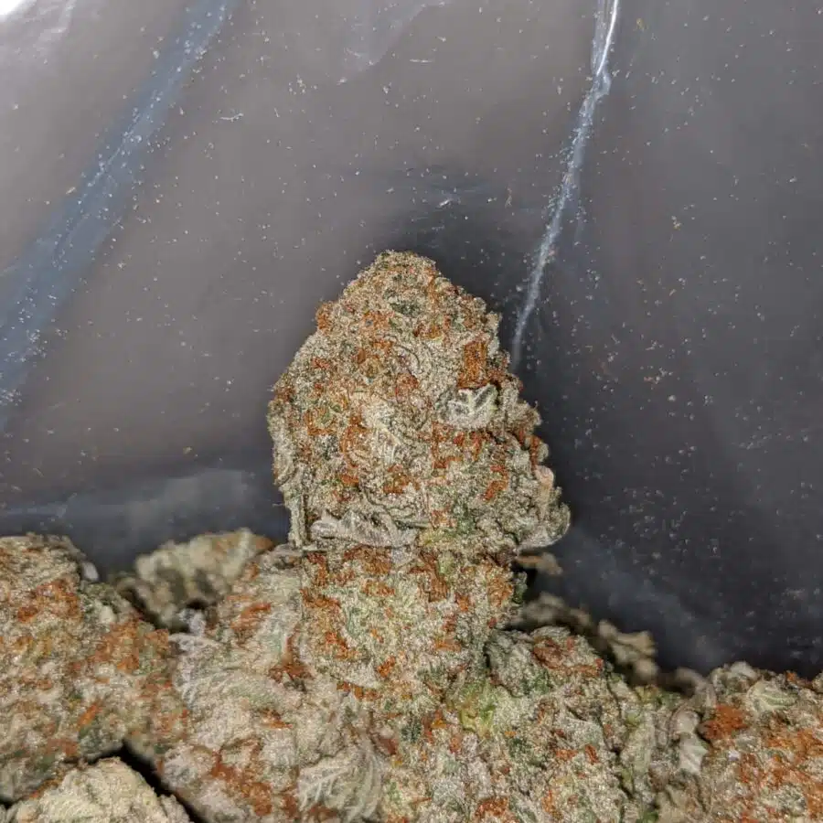 COOKIE BREATH 4 I Cookie Breath