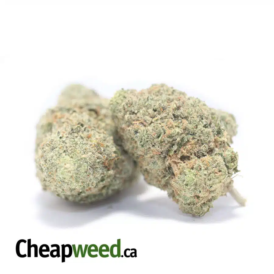 GOUDABERRY 3 I $ 61 Oz - Goudaberry