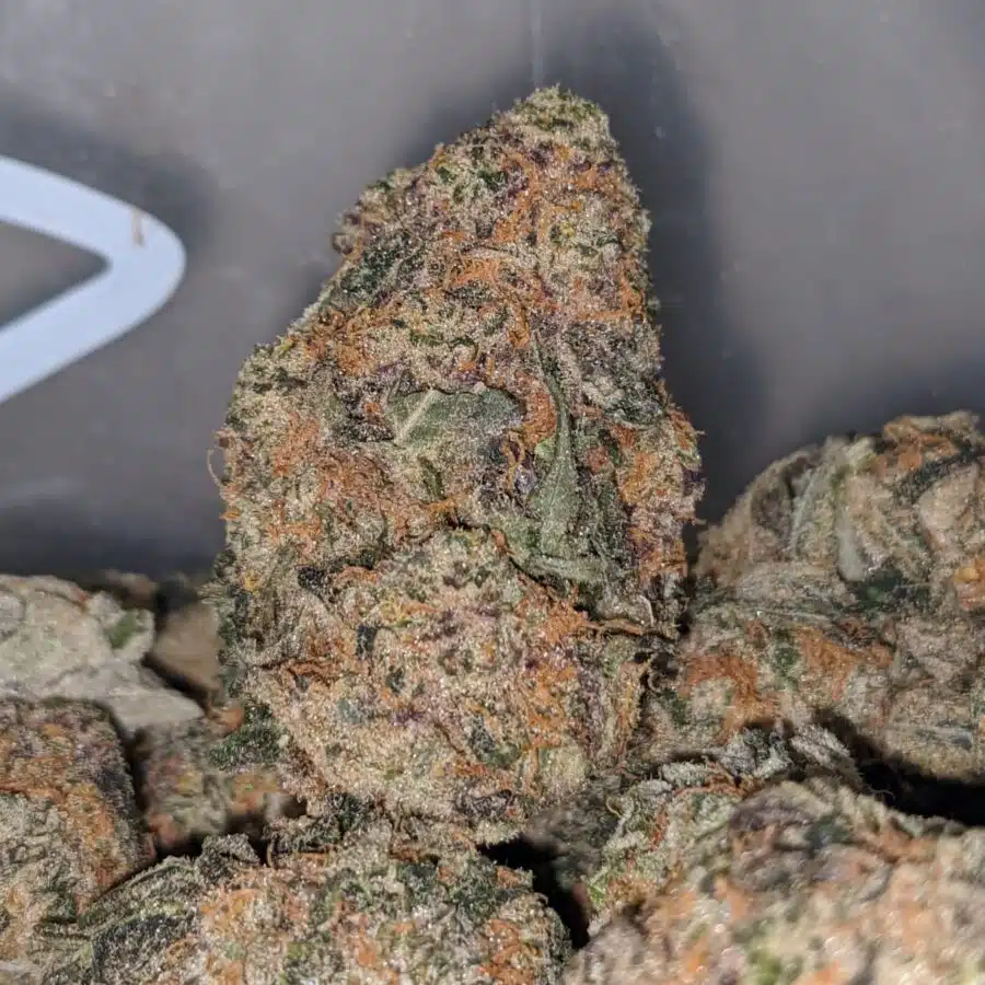 Guava Cake 1 I $65 Oz - Gelato