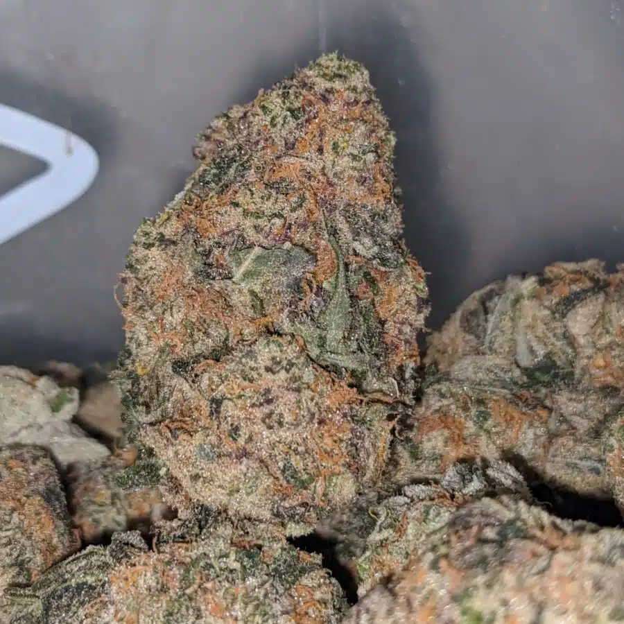 Guava Cake 2 I $65 Oz - Gelato