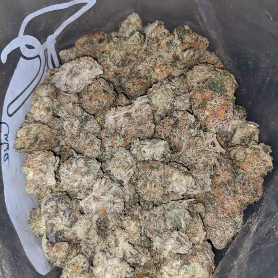 $65 Oz - Gelato