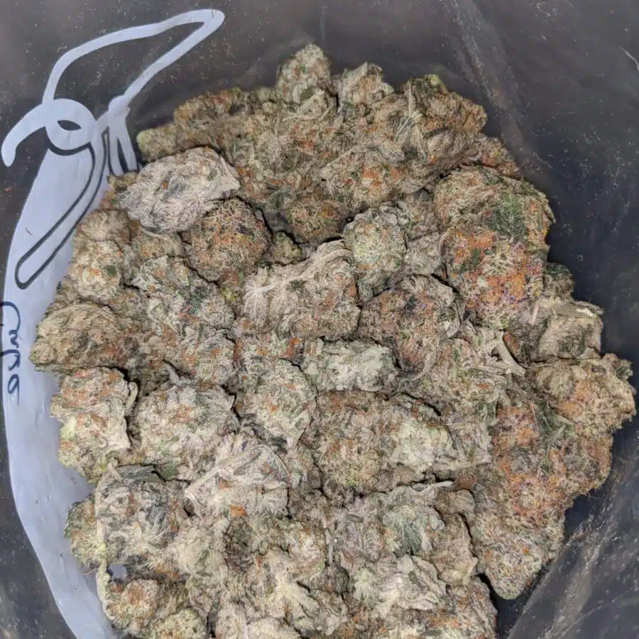 Guava Cake 4 I $65 Oz - Gelato