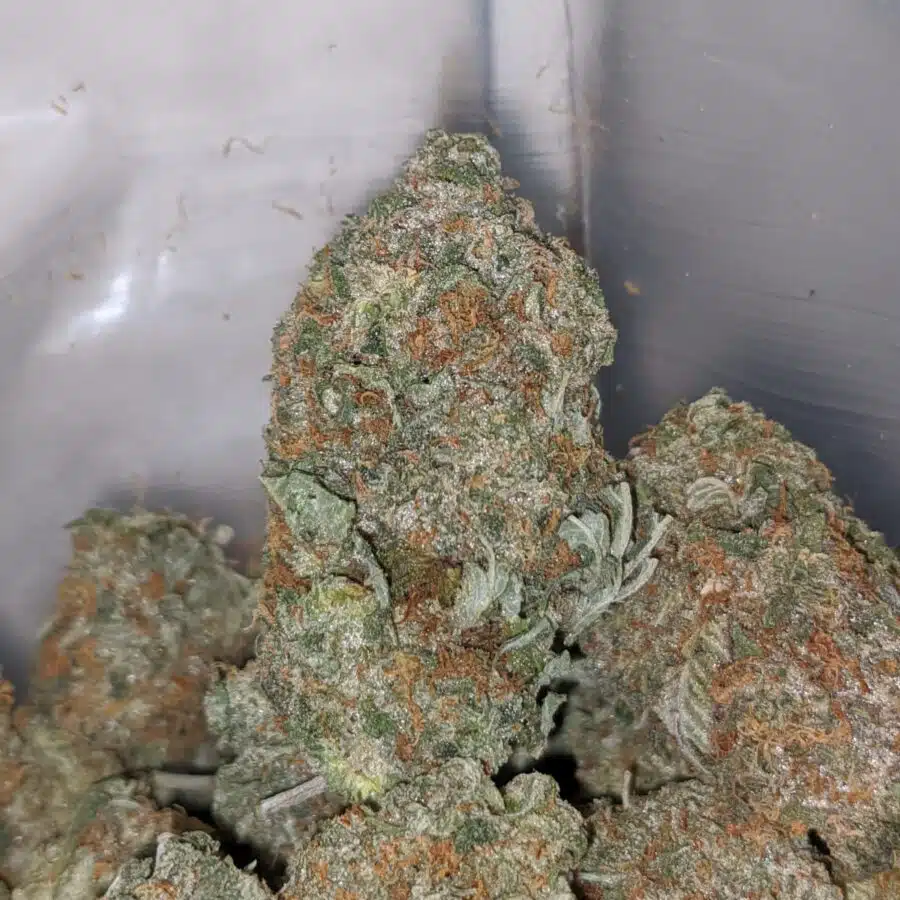 KING BUBBA 2 I King Bubba