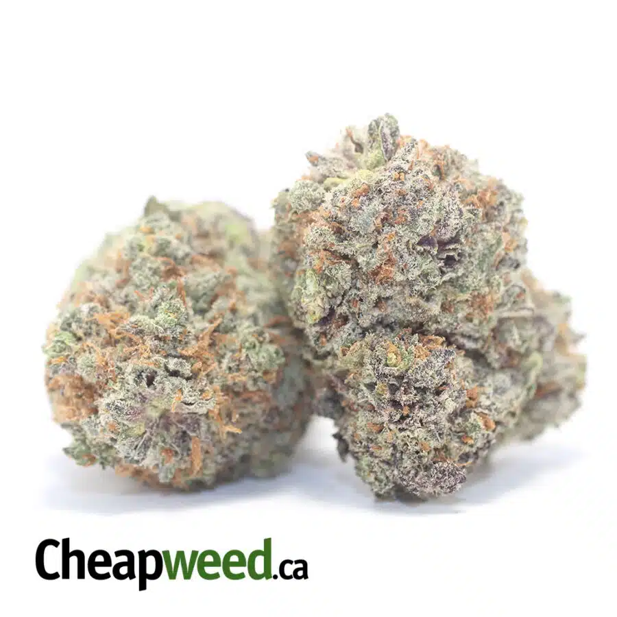 Alternative view of Lemonade Cough
