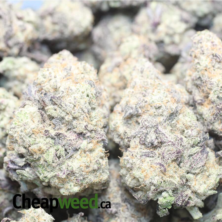 MONSTER COOKIES 1 I Monster Cookies