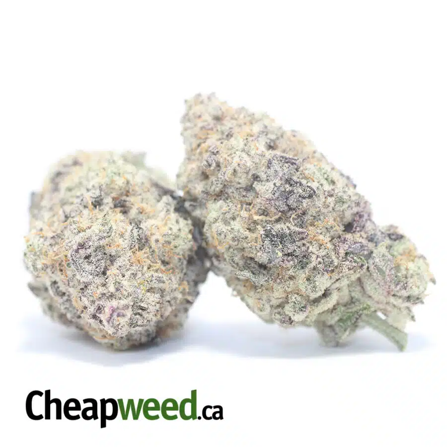Alternative view of Monster Cookies