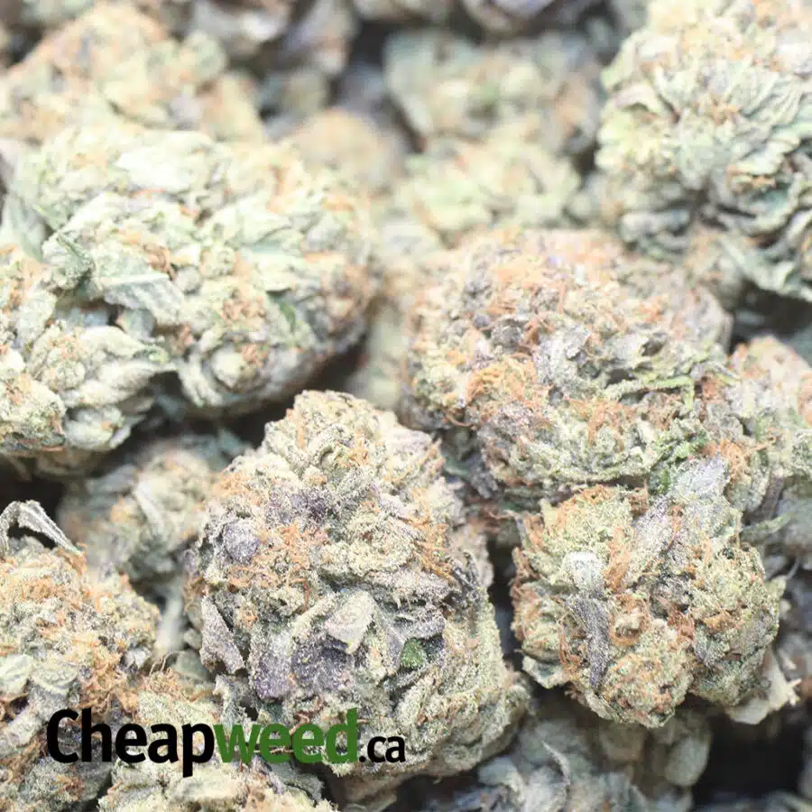 OG WRECK 1 1 I OG Wreck #2