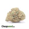Orange Diesel