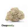 Orange Diesel