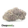 Purple Moonrocks