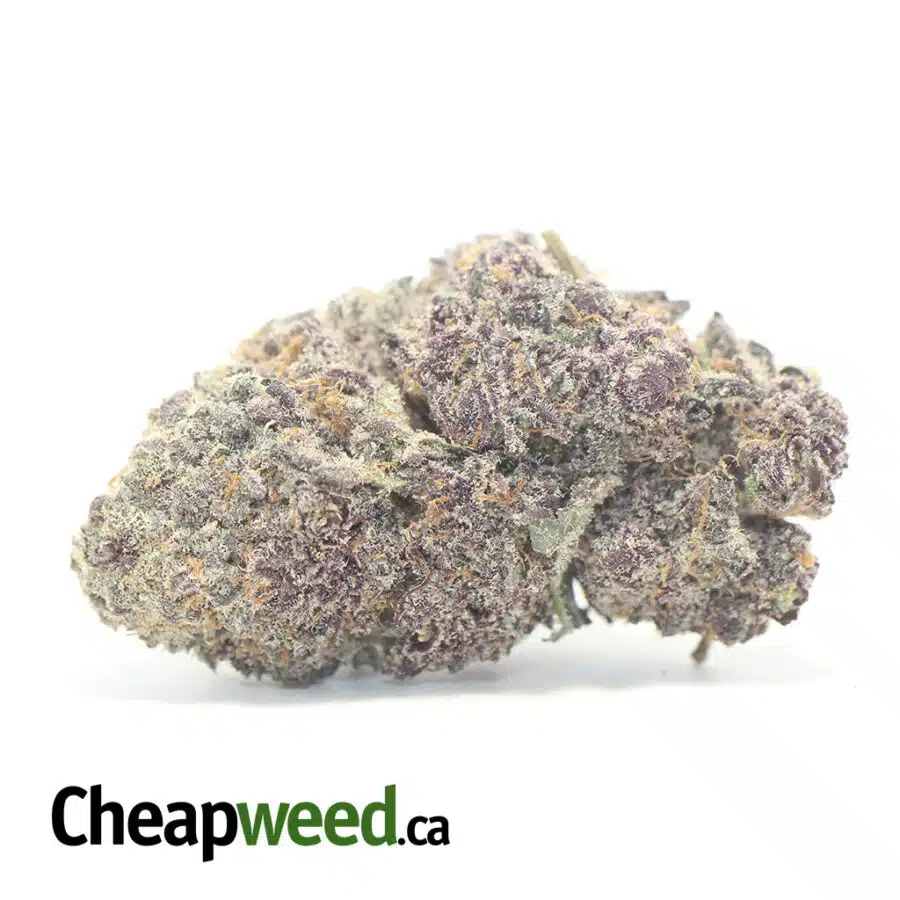 Purple Moonrocks