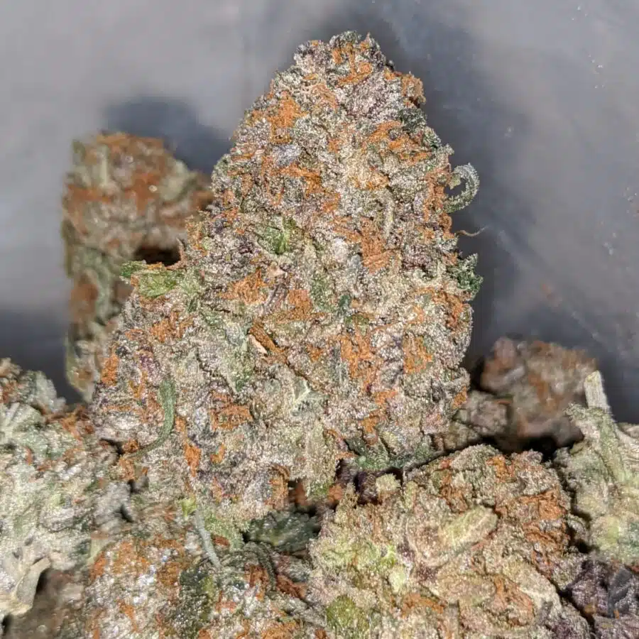 RAINBOW SKITTLEZ 2 I Rainbow Zkittles