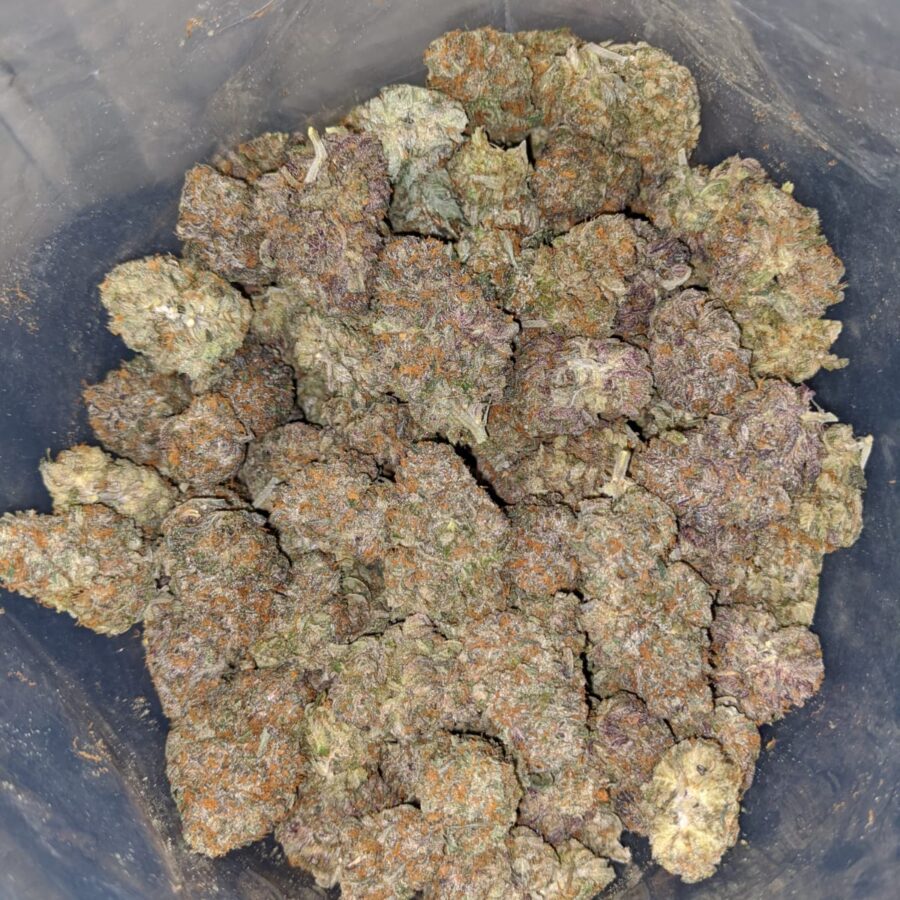 Rainbow Zkittles - Image 4