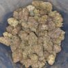 Rainbow Zkittles