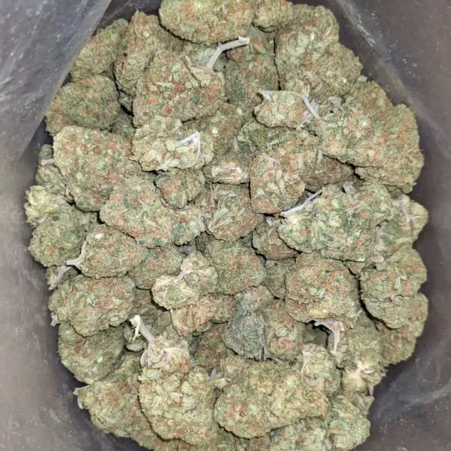 Skunk og 1 I Skunk OG