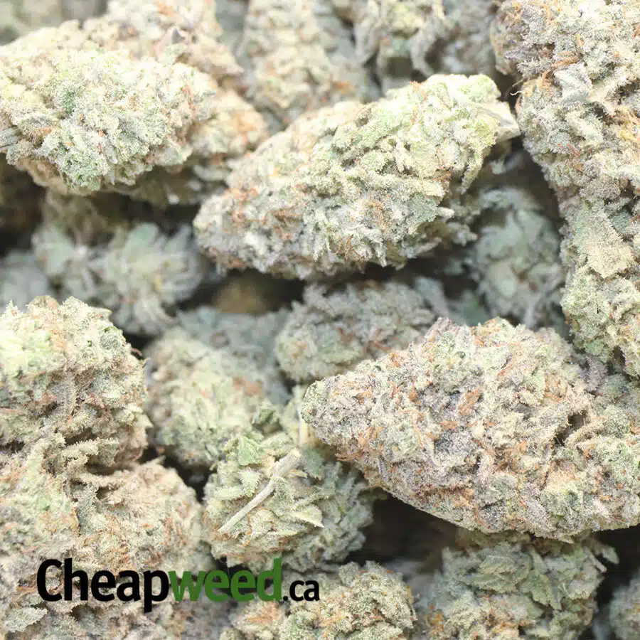 WHITE COOKIES 1 I $ 65 Oz - White Cookies