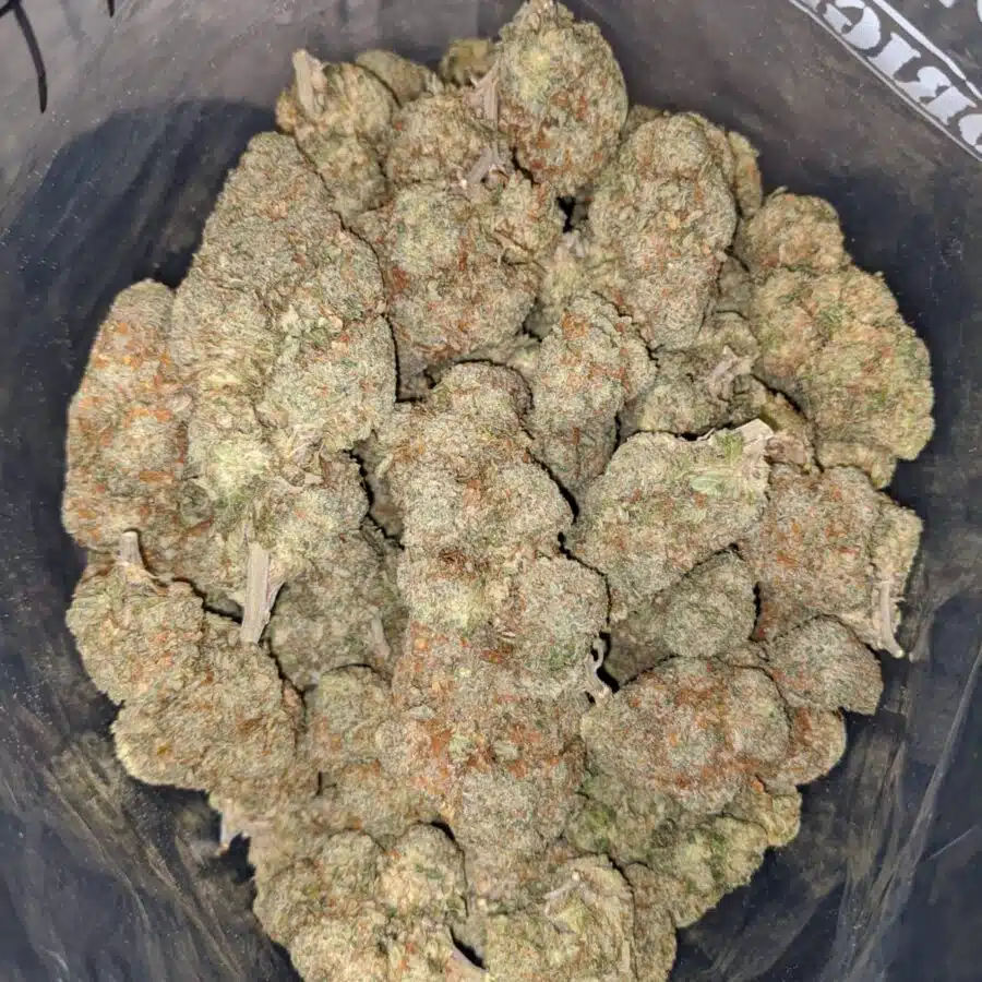 WhatsApp Image 2023 01 30 at 3.42.36 PM 2 I $ 61 Oz - Goudaberry