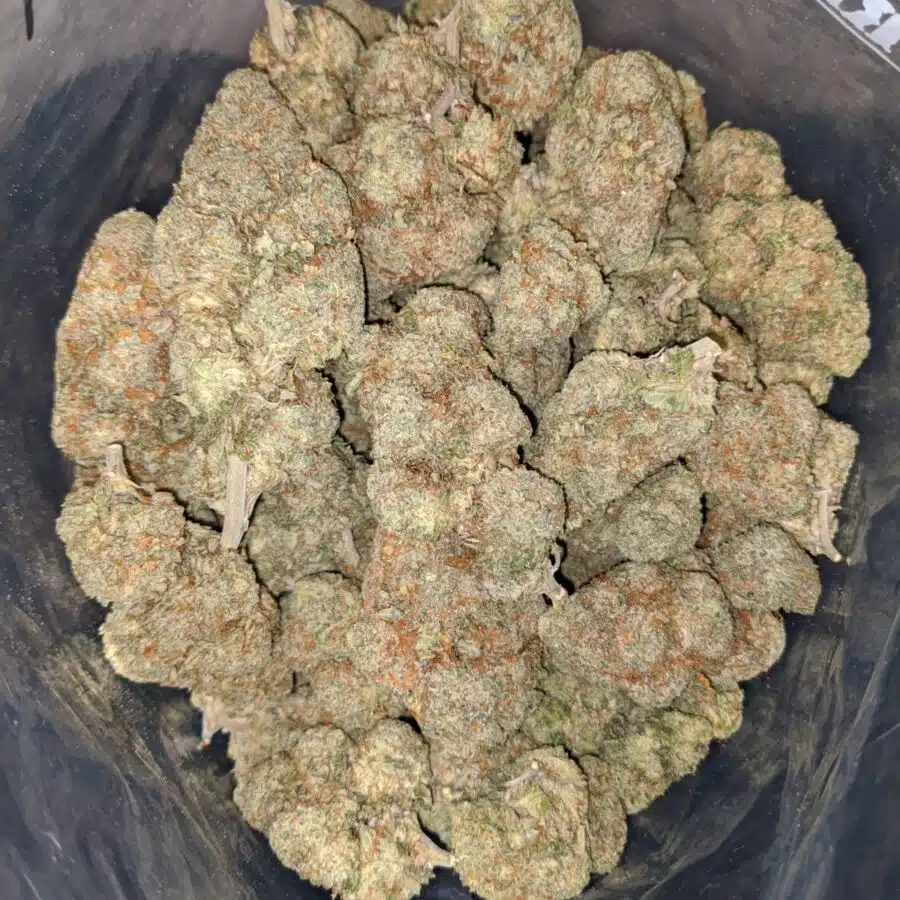 WhatsApp Image 2023 01 30 at 3.42.37 PM I $ 61 Oz - Goudaberry