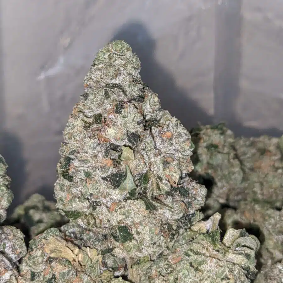 Alternative view of $71 Oz - Killer Queen