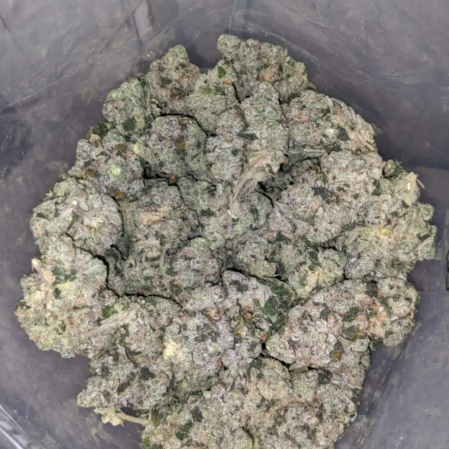 Zedd 3 I $71 Oz - Killer Queen